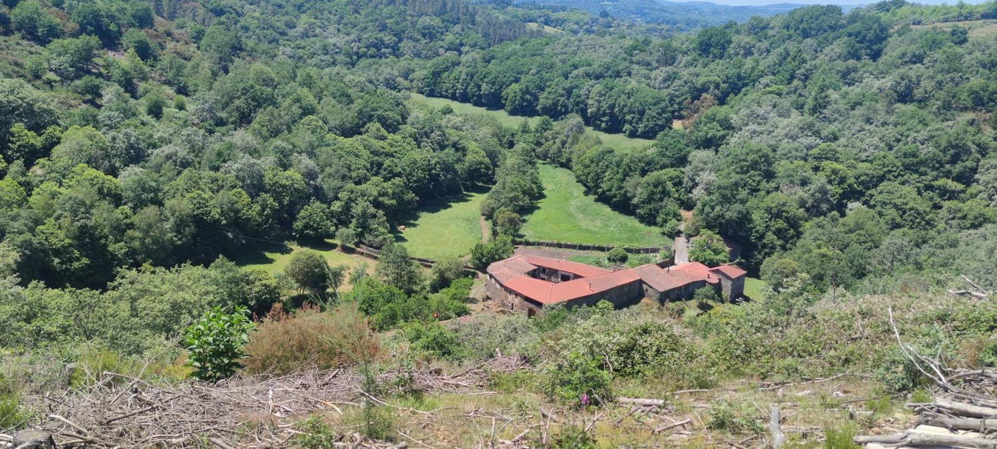 Casa Grande De Covas-Apartamentos Turisticos Taboada Екстериор снимка