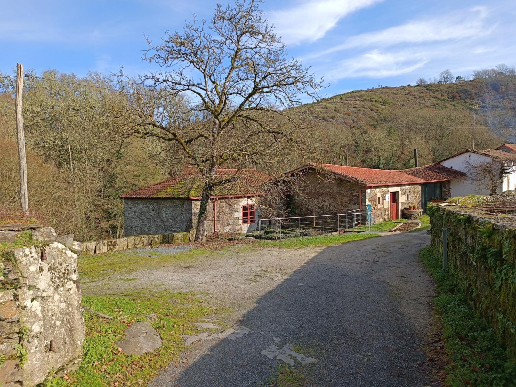 Casa Grande De Covas-Apartamentos Turisticos Taboada Екстериор снимка