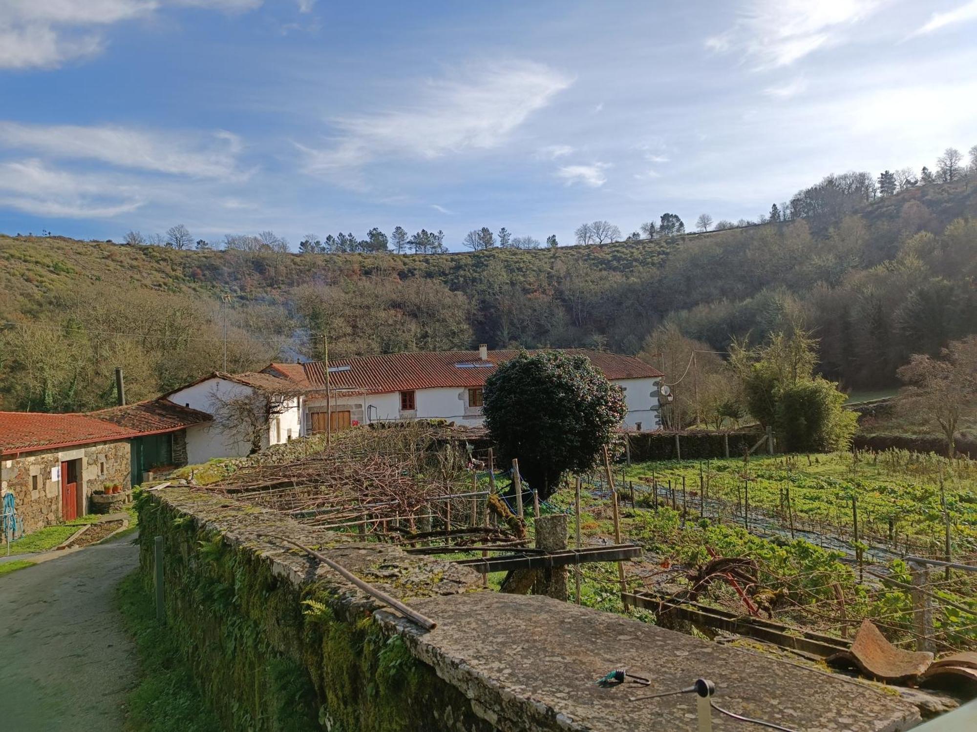 Casa Grande De Covas-Apartamentos Turisticos Taboada Екстериор снимка