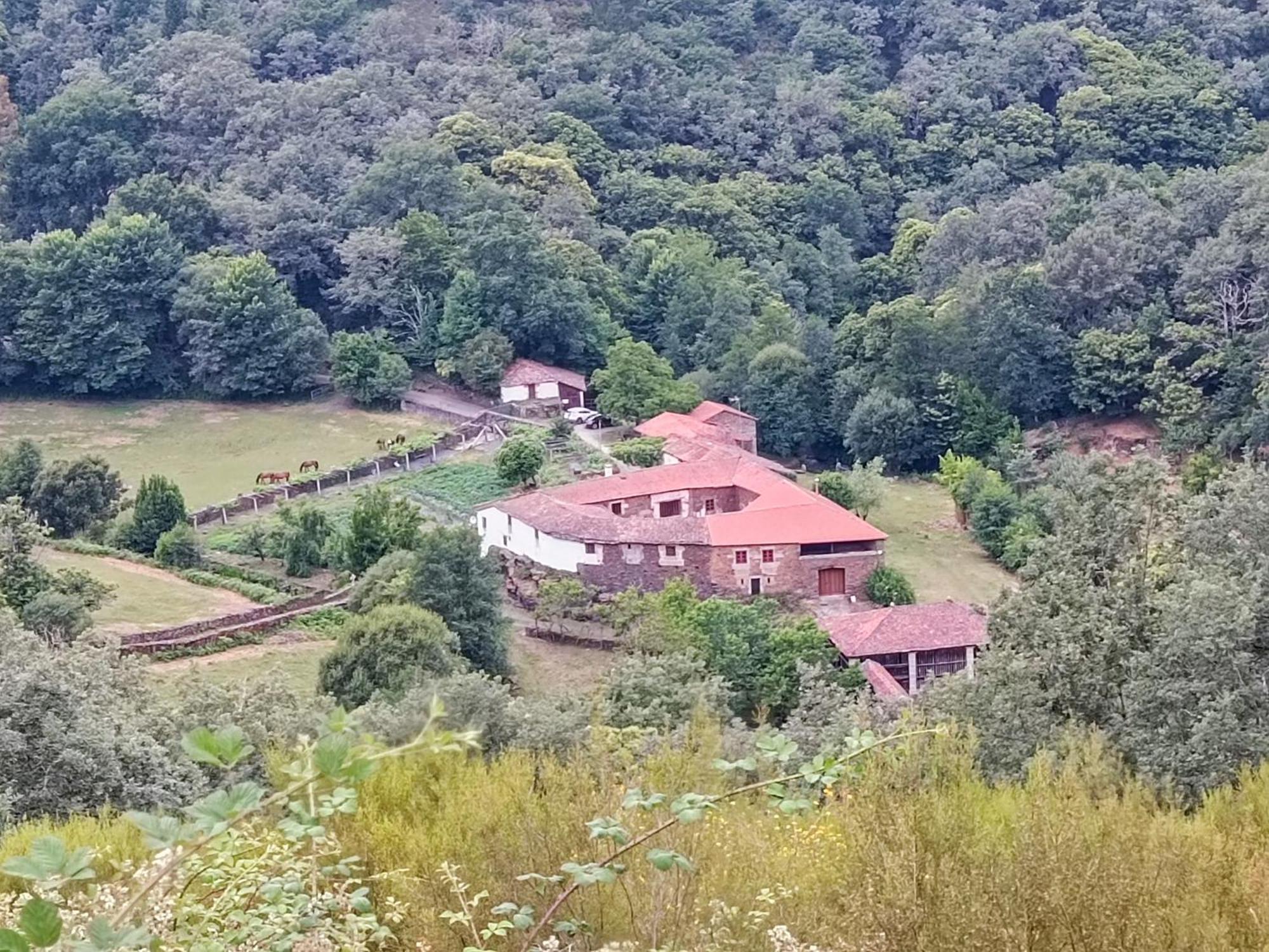 Casa Grande De Covas-Apartamentos Turisticos Taboada Екстериор снимка