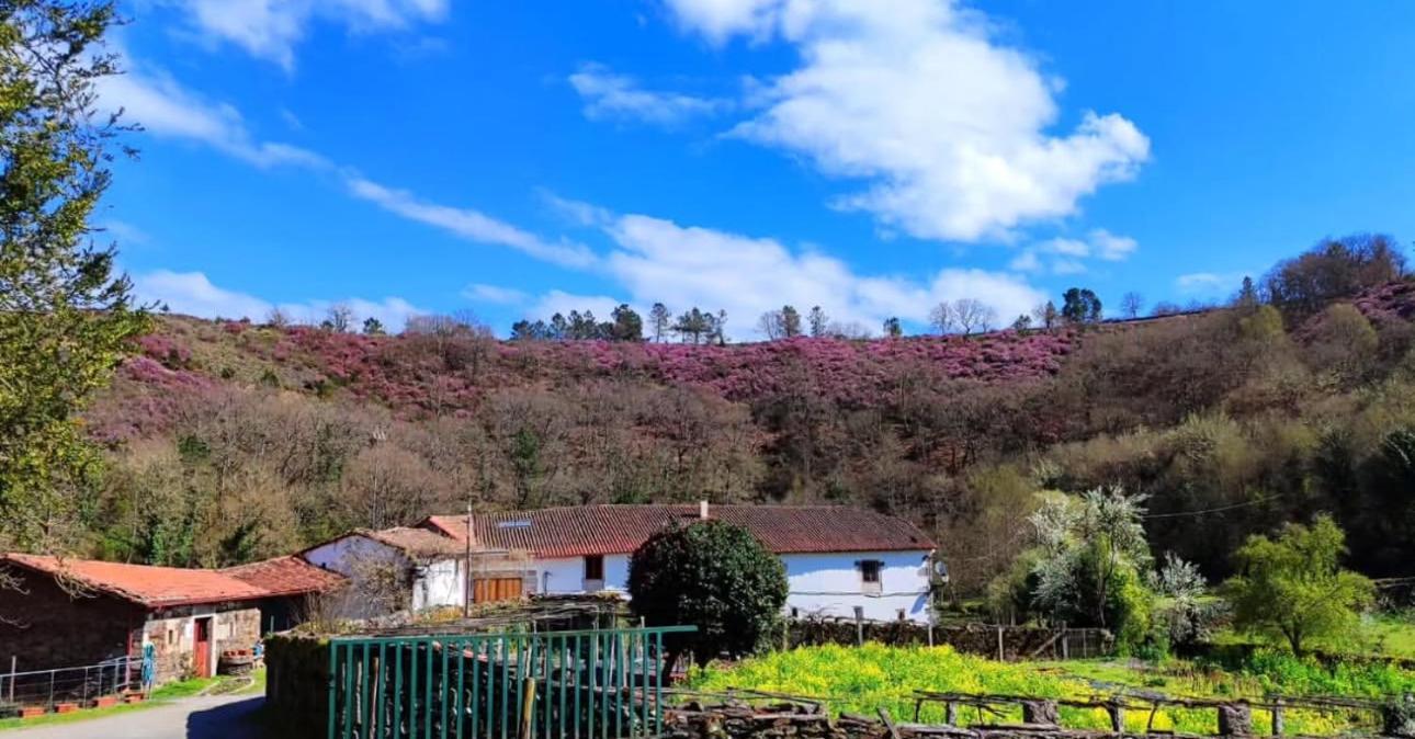 Casa Grande De Covas-Apartamentos Turisticos Taboada Екстериор снимка